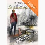 N. Fülöp Beáta: A hídon túl (e-könyv)