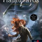 Cassandra Clare: Hamuváros - A végzet ereklyéi 2.