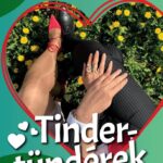 Schmuck Andor: Tinder-tündérek