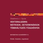 Obádovics J. Gyula: Vektoralgebra, mátrixok, determinánsok, többváltozós függvények