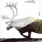 Jón Kalman Stefánsson: Hiányod maga a sötétség