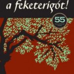 Harper Lee: Ne bántsátok a feketerigót!