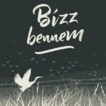 Leiner Laura: Bízz bennem
