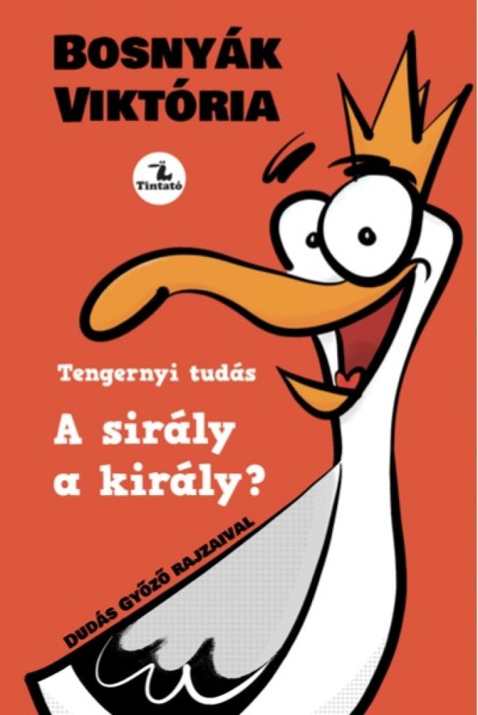 siraly_a_kiraly_cover.jpg Bosnyák Viktória: A sirály a király? - Image 1