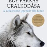 Rick McIntyre: Egy farkas uralkodása - A Yellowstone legendás alfa-hímje