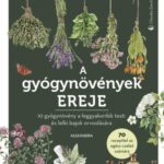 A gyógynövények ereje