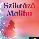 Taylor Jenkins Reid: Szikrázó Malibu