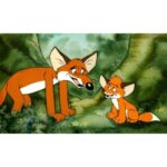 Fekete István: Vuk I - Diafilm